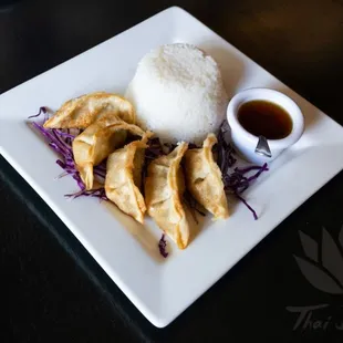 Kids Chicken Pot Stickers