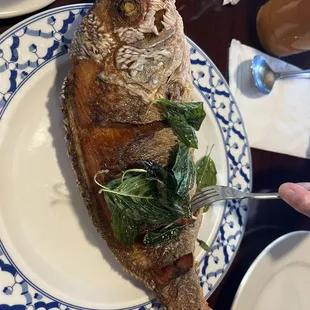 One of the house specials, the snapper. We ordered it with the sauce on the side. Cooked to perfection and appreciated each bite.