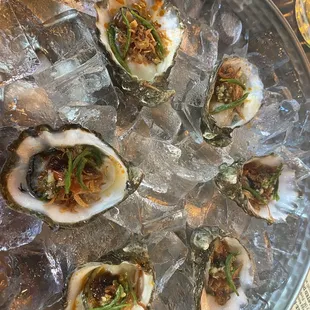 Raw oysters. Amazing