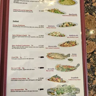 Menu (4 of 7). 11/24/2024