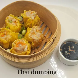 Thai Dumplings