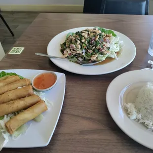 Spring Rolls