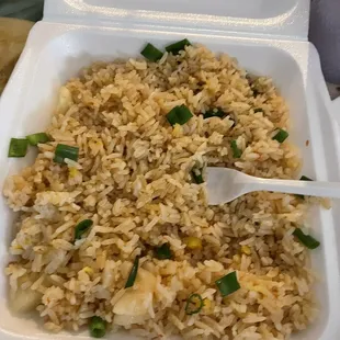 Plain spicy fried rice no veggies at all. Just white onions and green onions.