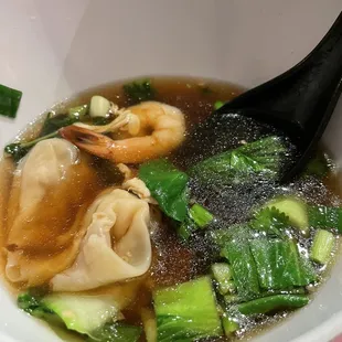 Wonton Soup