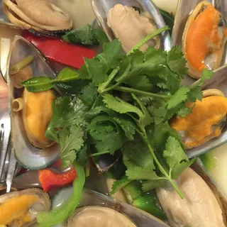 Steamed Mussels
