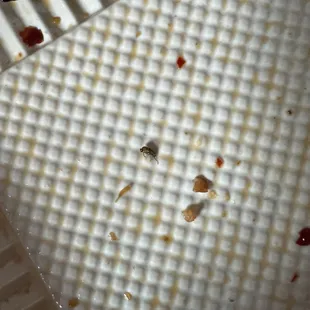 pineapple fried rice with chicken