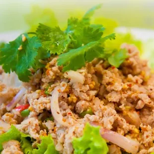 Chicken Mint Salad (LARB)