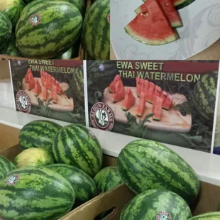 2  $5 I'm addicted to watermelon