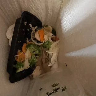 chicken wonton soup thrown in the garbage