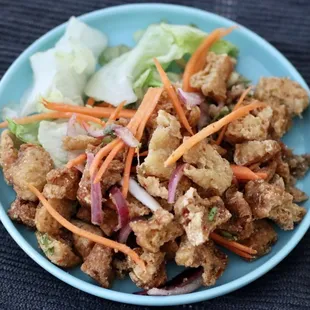 Larb Tofu. OK. Very vinegary but edible.