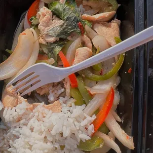 Spicy Mint Chicken + Rice