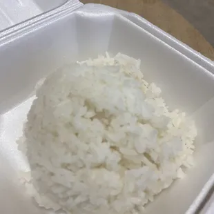 Lunch rice serving