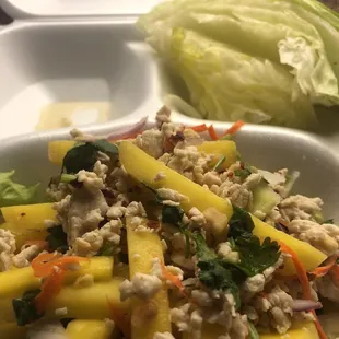 Mango Salad with Chicken