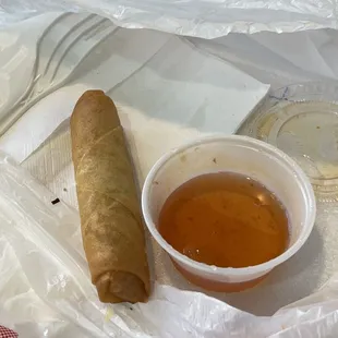 Veggie Spring Roll (2) (ate one)