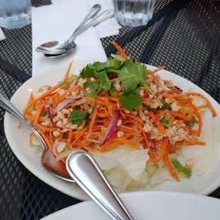 Spicy Chicken Salad (Larb Gai)