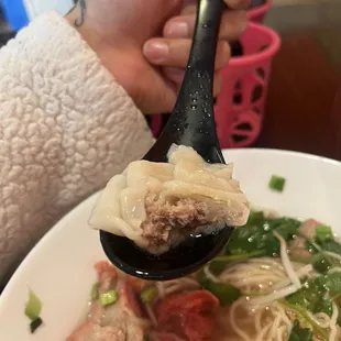 Egg Noodle and Wonton with BBQ Pork Soup