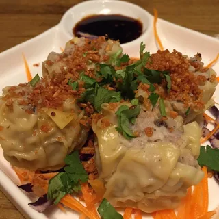 Thai Dumplings