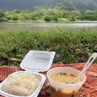 Penang curry and sticky rice