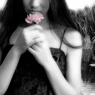 Aphrodaisy L.