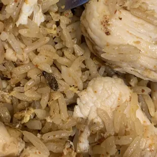 Bug in chicken fried rice