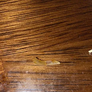 Piece of hard plastic that was in my food.