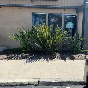 Outside