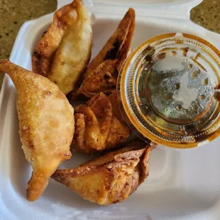 Fried Dumplings