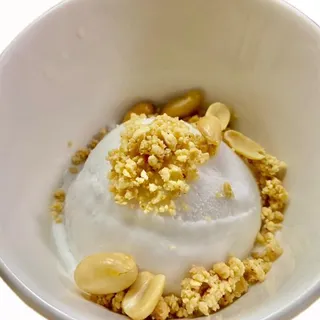 Homemade Coconut Ice Cream