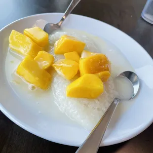 Mango sticky rice dessert