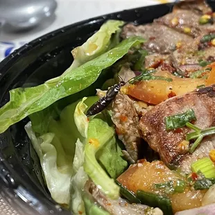 THAI BEEF SALAD WITH BUGS