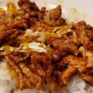 a plate of rice and meat