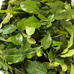 Lime leaves
