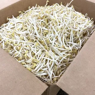 Bean sprouts are selling by box! Can ask for assistant