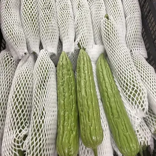 Bitter melon