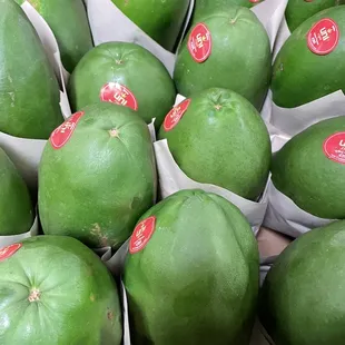 Green Papaya