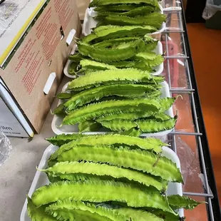 food, burritos and wraps, wraps, burrito