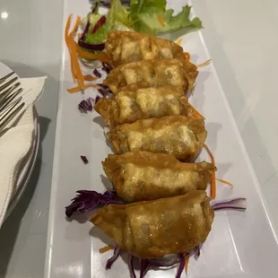 Fried chicken and veggie dumplings