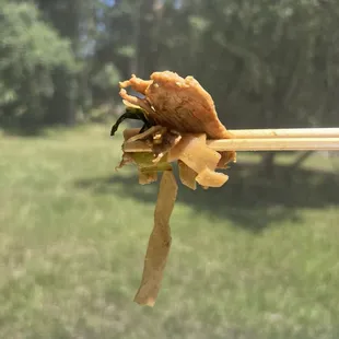 Chicken Pad See-ew (this is the last bite that I managed to take a picture of)