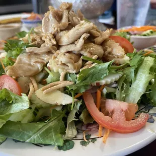 Thai Kitchen Salad with chicken