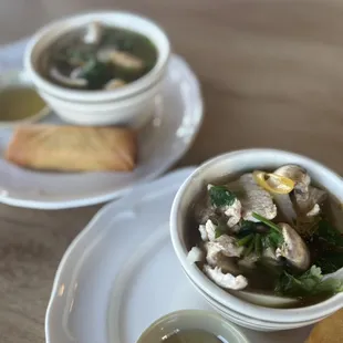 Lunch special, veggie spring roll and Tom Yum soup