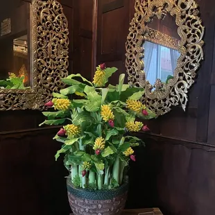 a potted plant in front of a mirror