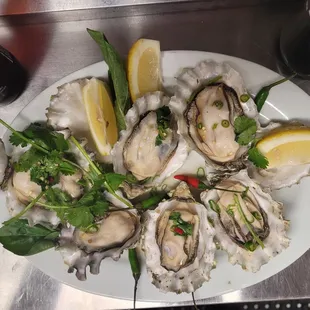 Steaming oyster with thai Chilli fish sauce