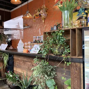a counter with a variety of potted plants