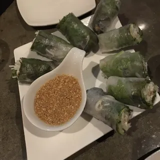 Vegetarian/Vegan Spring Rolls
