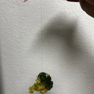 The long black hair that was wrapped around my broccoli and this is definitely not my hair because I am platinum blonde