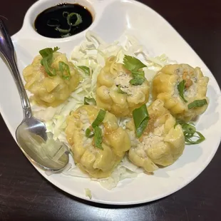 Thai Dumplings