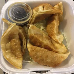 Gyoza