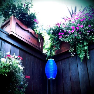 If the weather is nice, definitely take advantage of the outdoor seating