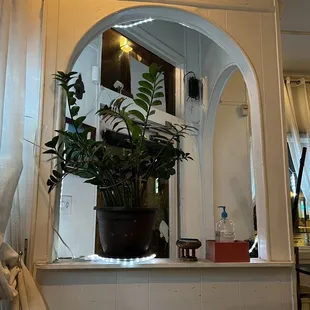 a potted plant in a window