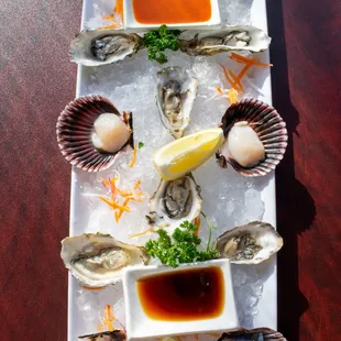 food, oysters, shellfish, mussels, oysters and mussels